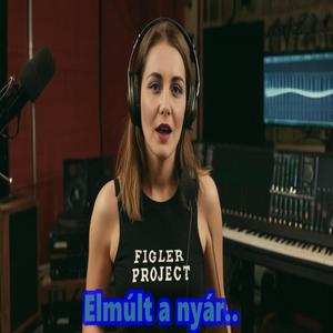 Elmult a nyár..