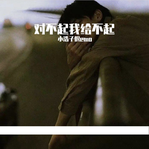 对不起我给不起