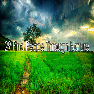 Ecology For The Brain