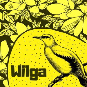 Wilga