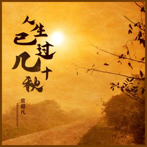 人生已过几十秋