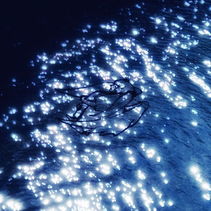 sparkle (feat. 初音ミク)