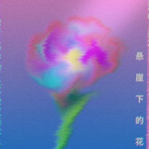 悬崖下的花