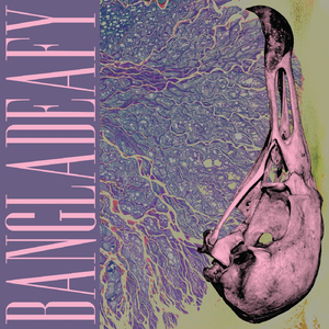 Don't Take My Light Away