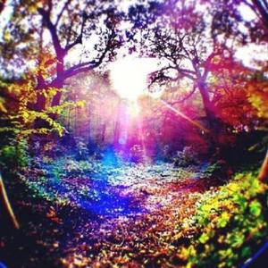 perc (instrumental)