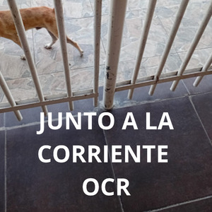 Minhas Raízes Estão Profundamente Fincadas Nas Águas Da Vida