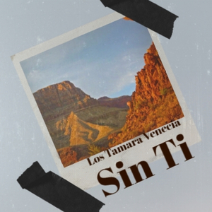 Mr Le Consul A Curityba