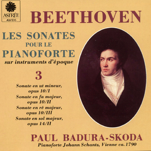 Piano Sonata No. 5 in C Minor, Op. 10 No. 1 "Little Pathetique": I. Allegro molto e con brio