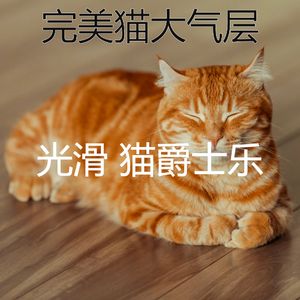 温和小猫梦想