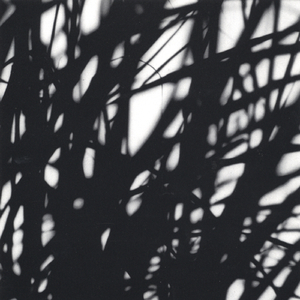 Sticks