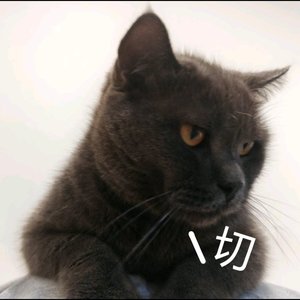《Unattained的失眠夜》
