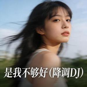 是我不够好 (降调DJ)
