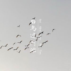 白鸟过河滩