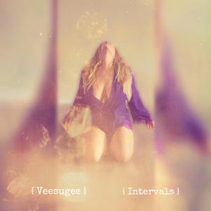 Intervals