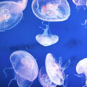 不喜欢下雨天（片段）