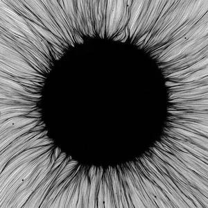 刻在我心底的名字