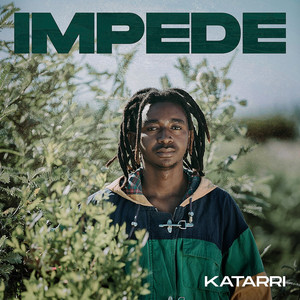 IMPEDE