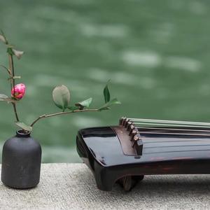 疏肝理气古琴疗愈: 归去来辞