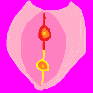 黄昏フロンティア-东方绯想天（神吉兰 remix）