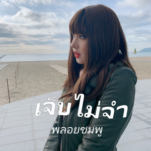 เจ็บไม่จำ