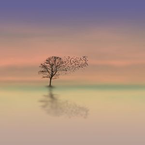 Restful Soothing Sounds