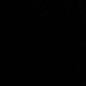 双向狂欢-河南神ft.sasi