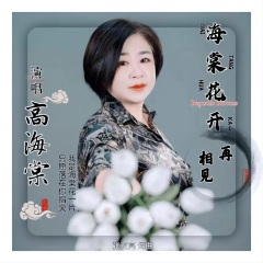 海棠花开再相见