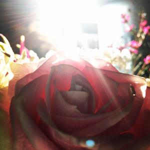 Arms of Love (feat. Shimshai & Aimée Ringle)