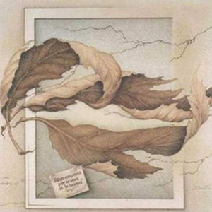 枯叶（重录版）