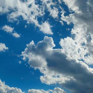 山楂树恋1724675689930_20240826_203522