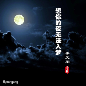 想你的夜无法入梦