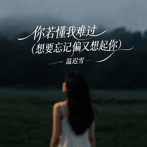 你若懂我难过（想要忘记偏又想起你）