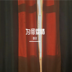 为何爱情