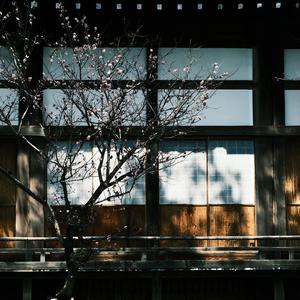 春影之隙 ～ Just Spring – Inst.