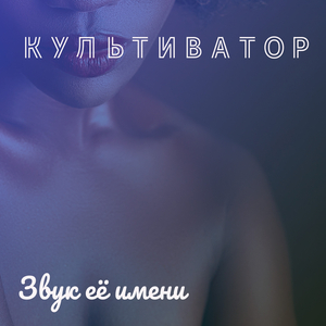 Закажем пиццу