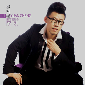 我不是那个李刚 (伴奏)