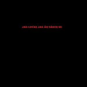 Jag lovar jag är säker nu