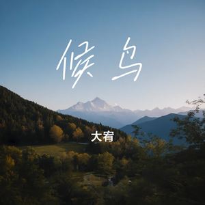 候鸟