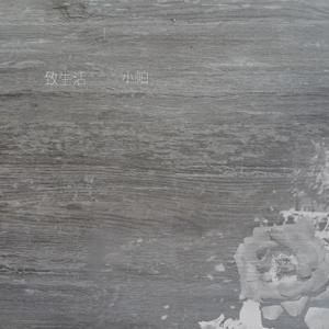 致生活（To life）