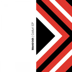 Codul 1 (Original Mix)