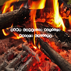 ASMR 캠핑장 모닥불소리