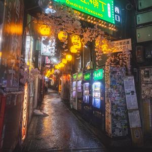 Midnight Alley Reverie （真夜中路地の幻想）