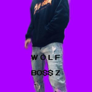 wolf（prod by Wolf pack beats）