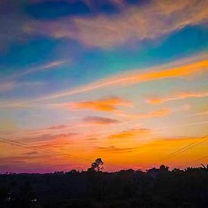 1.你 爱 我 像 谁