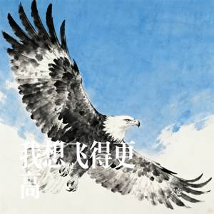 我想飞得更高