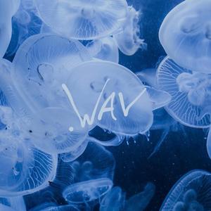 .wav