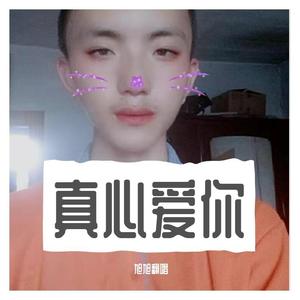 真心爱你