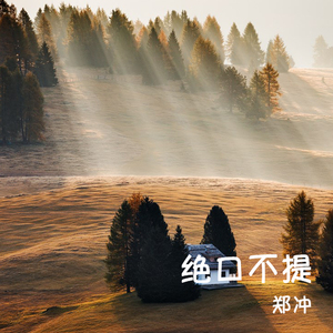 不会再遇到真爱