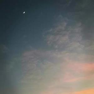 CMJ-所念皆星河（吉他版）（岭丘 remix）