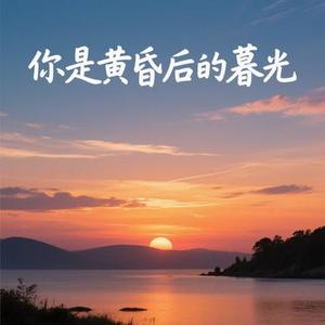 你是黄昏后的暮光